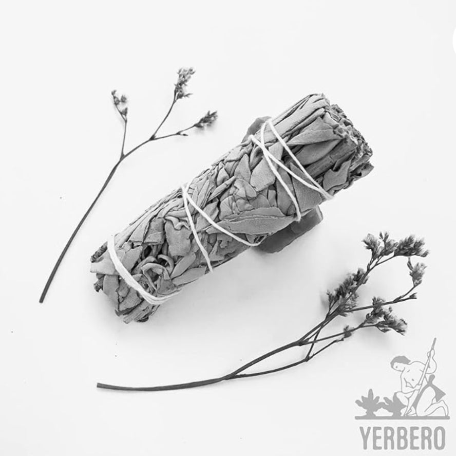100% 全天然白鼠尾草（約4-5吋長）